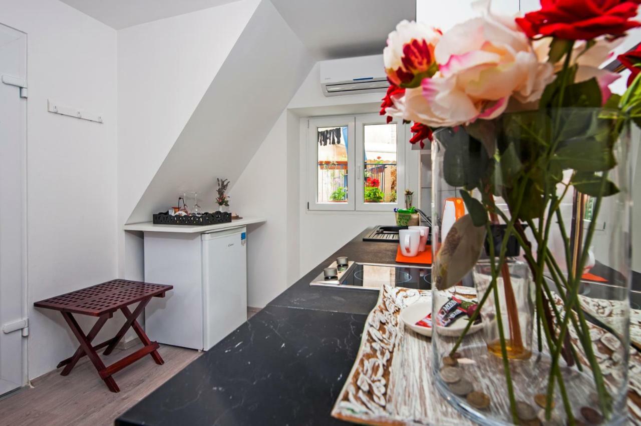 Apartman Delfin Rovinj Dış mekan fotoğraf